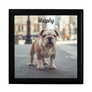 Cute Bulldog Personalized Jewelry Keepsake Box