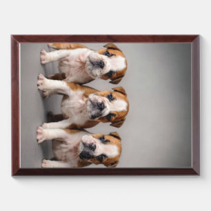 Cute Bulldog Puppies Dog Lovers Gift Award Plaque