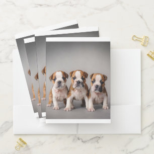 Cute Bulldog Puppies Dog Lovers Gift Pocket Folder