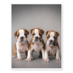 Cute Bulldog Puppies   Dog Lovers Gift Temporary Tattoos