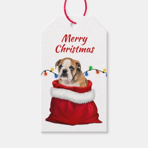 Cute Bulldog Puppy in Santa Bag Gift Tags