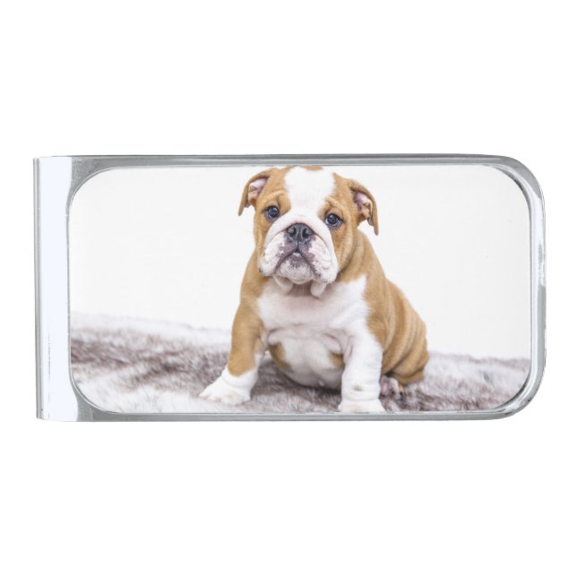 Cute Bulldog Puppy Silver Finish Money Clip (Front)