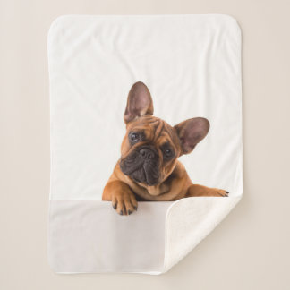 Cute Bulldog | Really Cute, English Bulldog Sherpa Blanket