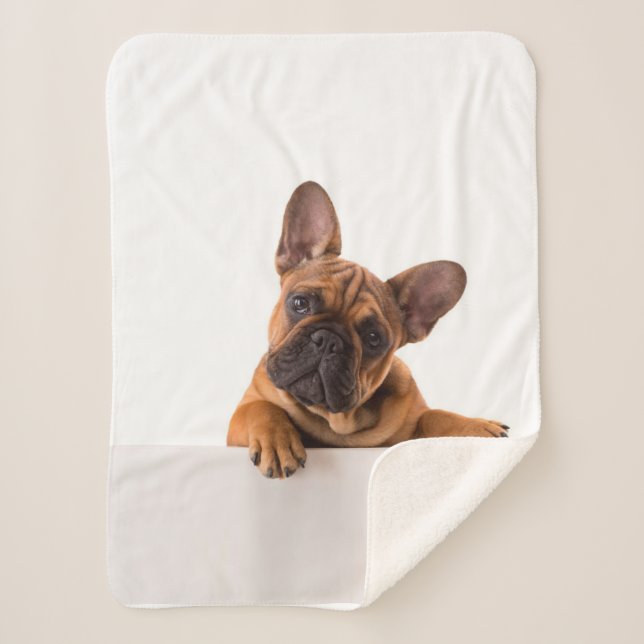Cute Bulldog | Really Cute, English Bulldog Sherpa Blanket (Front)
