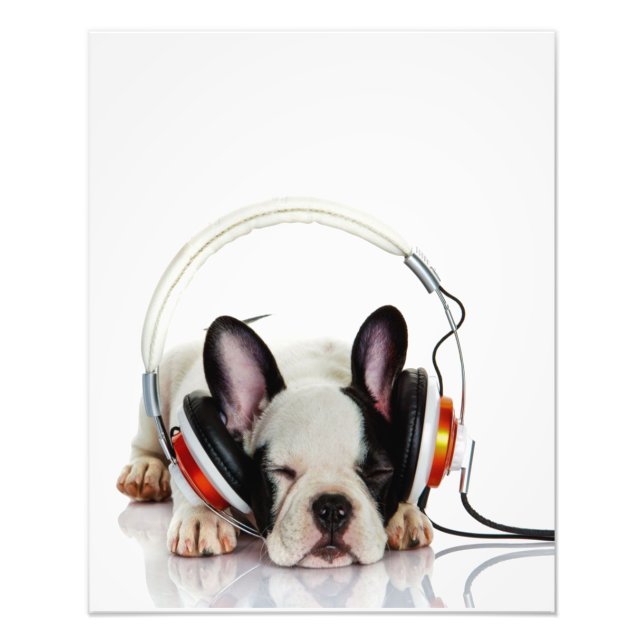 Cute Bulldog Sleeping | English Bulldog Lover Photo Print (Front)