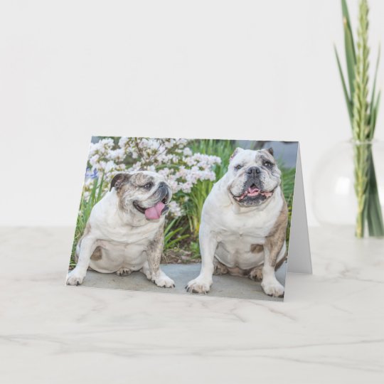 Cute Bulldogs Happy Anniversary Personalized Card 