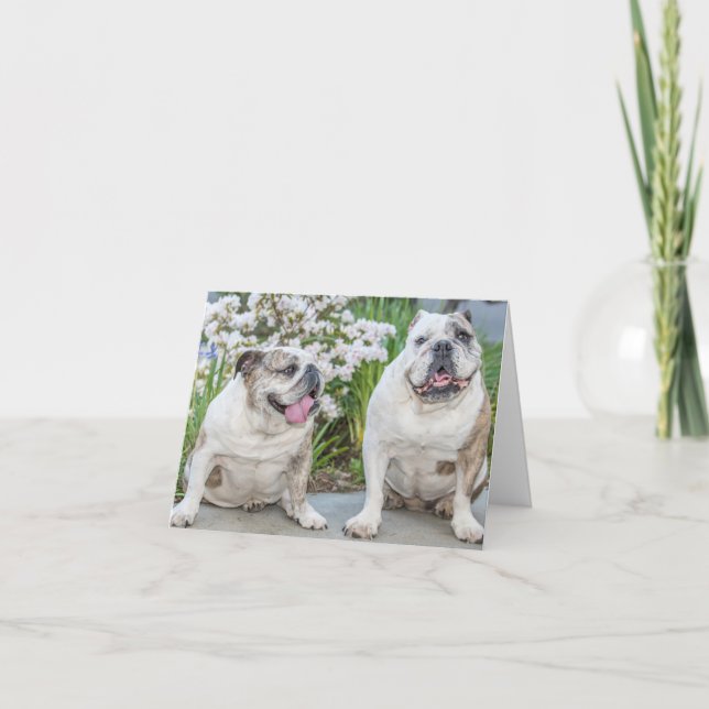 Cute Bulldogs Personalized Greeting Card (Front)