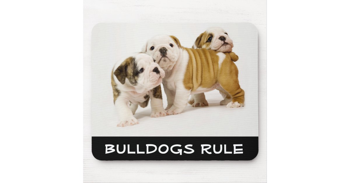 Cute Bulldogs Rule Puppy Dogs Playing Mousepad | Zazzle