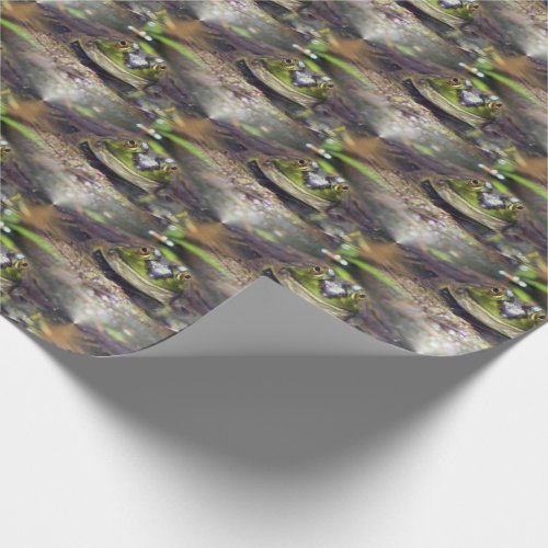 Cute Bullfrog Face Animal Nature Pattern   Wrapping Paper