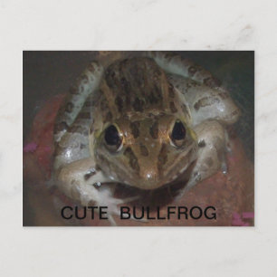 CUTE BULLFROG POSTCARD