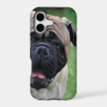 Cute Bullmastiff iPhone 17 Case