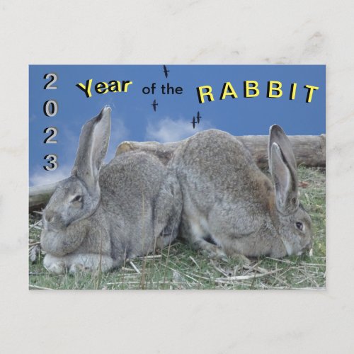 Cute Bunnies 2023 Year of the Rabbit Postcard