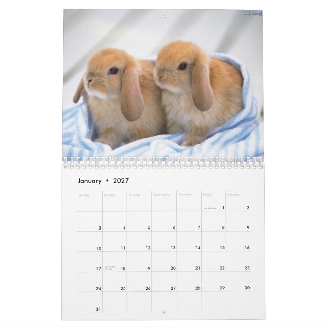 Cute Bunnies Calendar (Jan 2027)