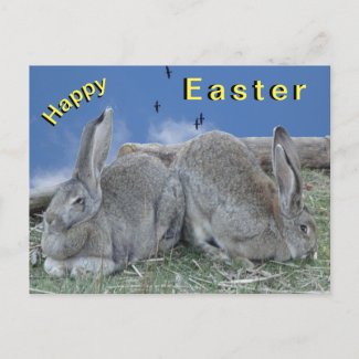 Cute Bunnies Happy Easter Postcard