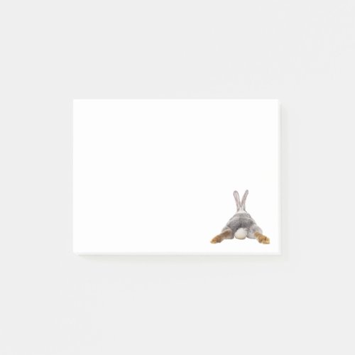 Cute Bunny Butt Tail Rabbit Post_it Notes