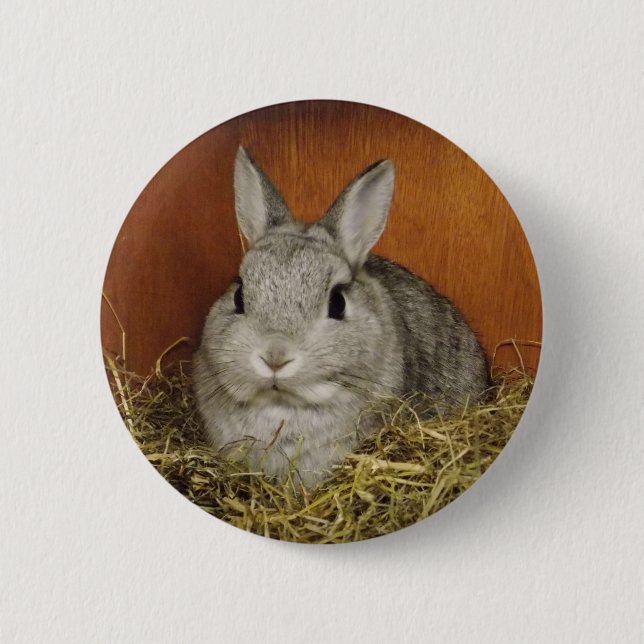 Cute Bunny Button Badge (Front)