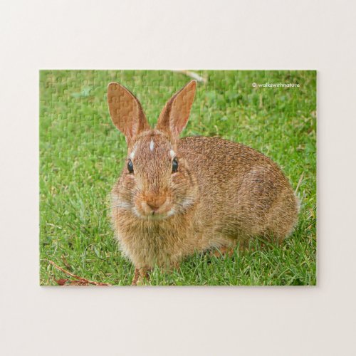 Cute Bunny Chewing Greens on the Golf Fairway Jigsaw Puzzle