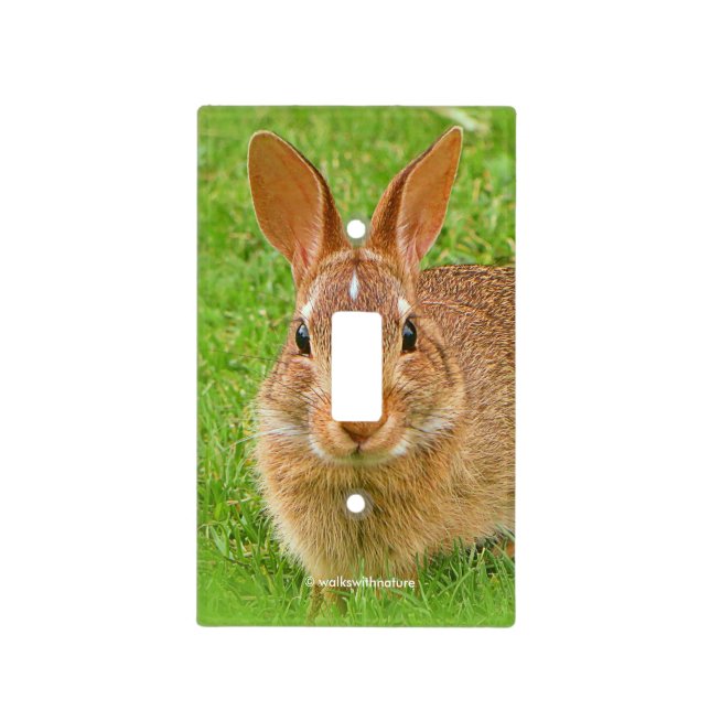 Cute Bunny Chewing Greens on the Golf Fairway Light Switch Cover (Front)