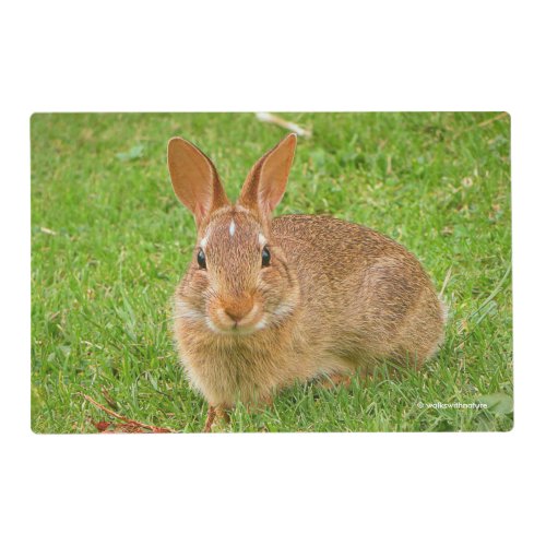 Cute Bunny Chewing Greens on the Golf Fairway Placemat