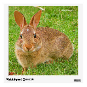 Cute Bunny Chewing Greens on the Golf Fairway Wall Sticker