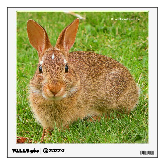 Cute Bunny Chewing Greens on the Golf Fairway Wall Sticker (Front)