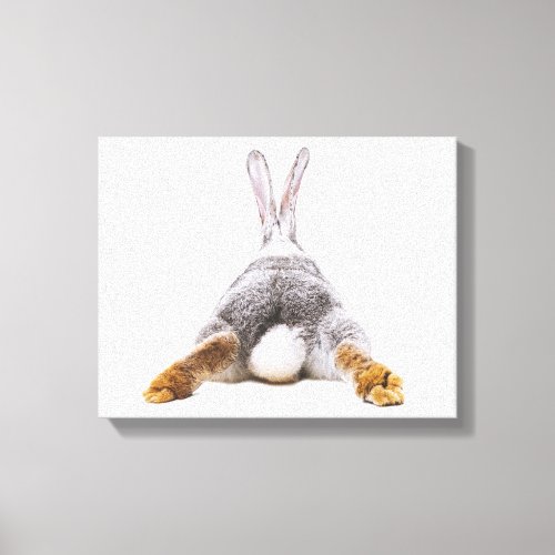 Cute Bunny Cotton Tail Animal Canvas Wall Art
