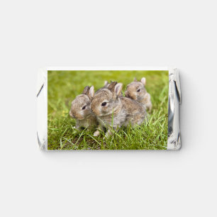 Cute Bunny Family Hershey's Miniatures