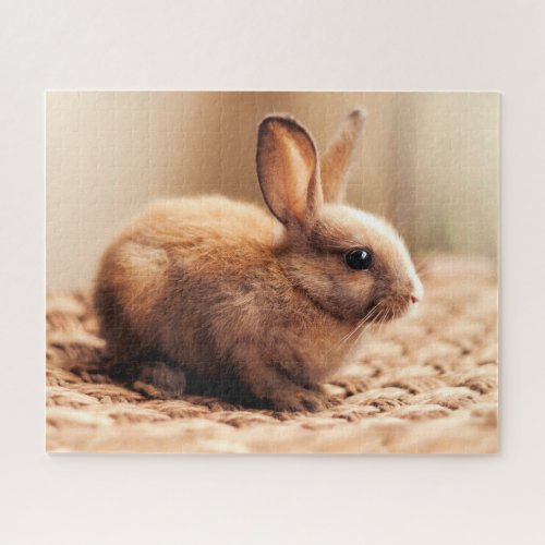 Cute Bunny Jigsaw Puzzle