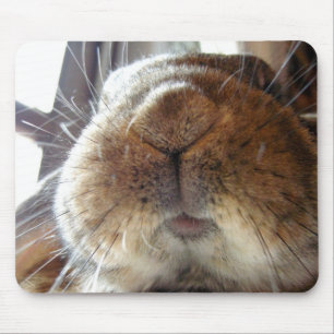 Cute Bunny Lips and Mouth Mouse Pad