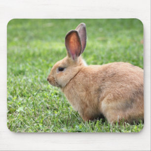 Cute Bunny Mouse Pad