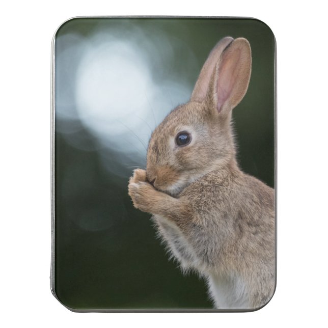 Cute Bunny Nature Photo Jigsaw Puzzle (Lid Vertical)