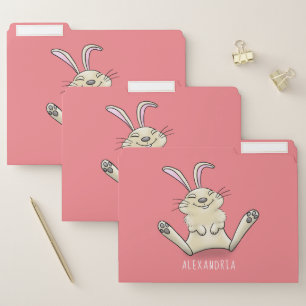 Cute bunny rabbit cartoon illustration file folder