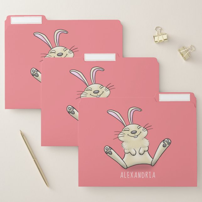 Cute bunny rabbit cartoon illustration file folder (Set)