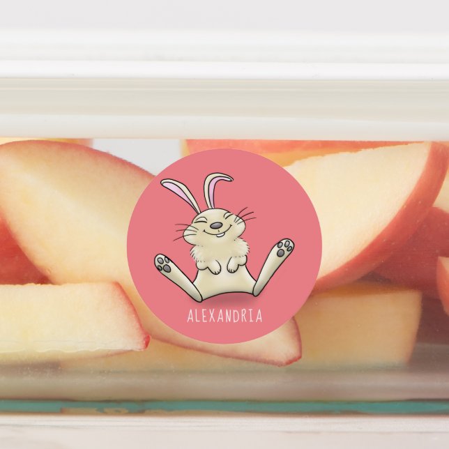 Cute bunny rabbit cartoon illustration labels (Affixed)