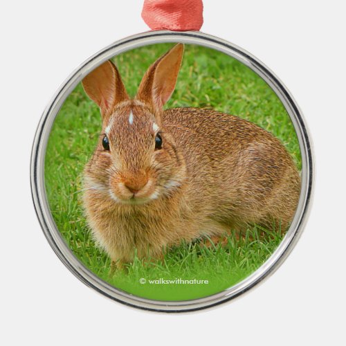 Cute Bunny Rabbit Chewing Greens on Golf Fairway Metal Ornament