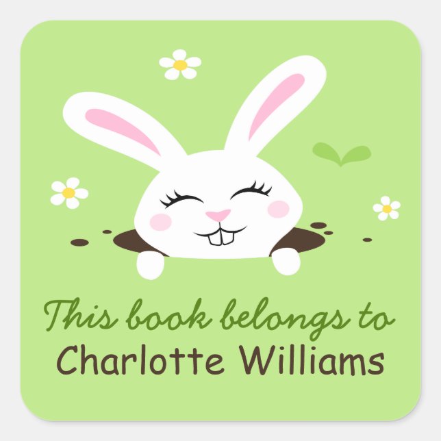 Cute bunny rabbit looking out bookplate book (Front)