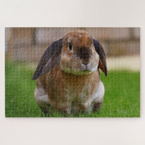 Cute Bunny Rabbit Nature Animal Jigsaw Puzzle