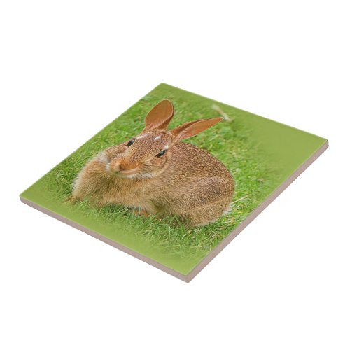 Cute Bunny Rabbit on the Golf Green Ceramic Tile