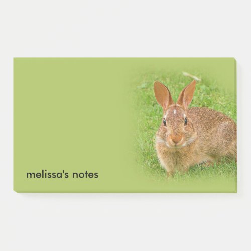 Cute Bunny Rabbit on the Golf Green Post_it Notes