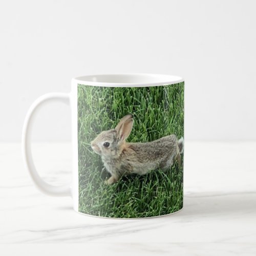 Cute Bunny Rabbit Photo Coffee Mug