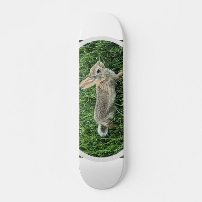 Cute Bunny Rabbit Skateboard (Front)