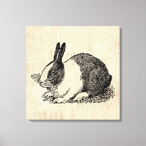 Cute Bunny Rabbit Vintage Animal Art Illustration Canvas Print