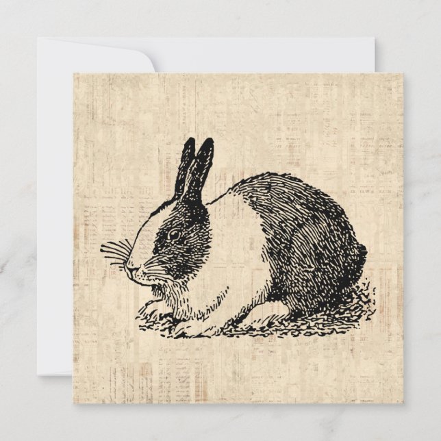 Cute Bunny Rabbit Vintage Animal Art Illustration Invitation (Front)