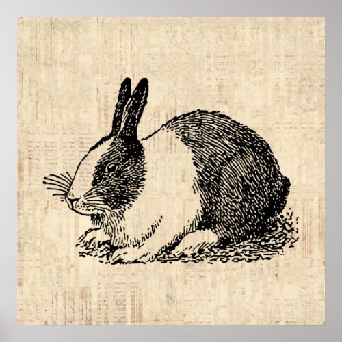Cute Bunny Rabbit Vintage Animal Art Illustration Poster