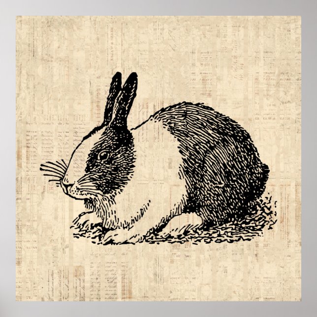 Cute Bunny Rabbit Vintage Animal Art Illustration Poster (Front)