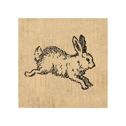 Cute Bunny Rabbit Vintage Illustration Script Art