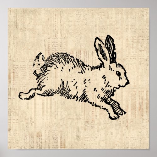 Cute Bunny Rabbit Vintage Illustration Script Art Poster