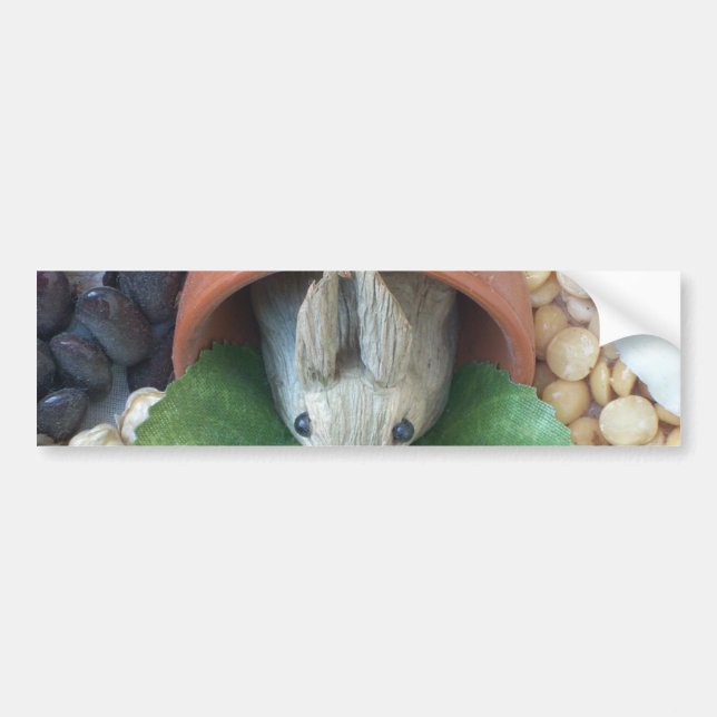 Cute Bunny Snacking Bumper Sticker (Front)