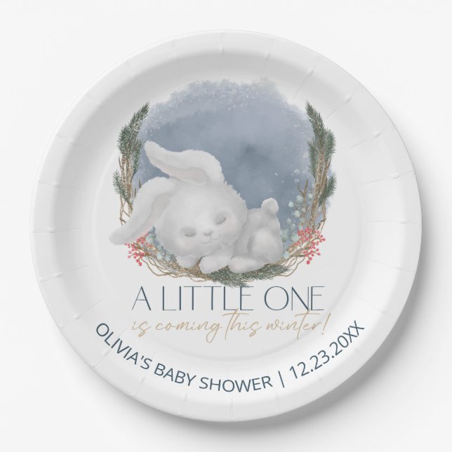 Cute Bunny Snowly Winter Baby Shower Paper Plates (Front)