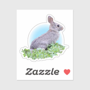 Cute Bunny Sticker